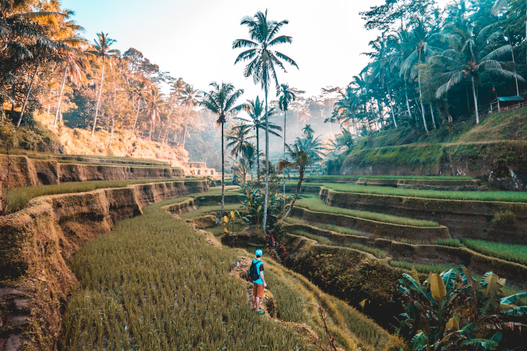 The Art of Slow Travel: Embracing the Journey, Not Just the Destination